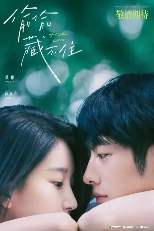 Hidden Love